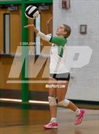 Photo from the gallery "North Brunswick @ West Brunswick"