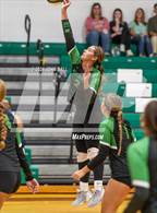 Photo from the gallery "North Brunswick @ West Brunswick"