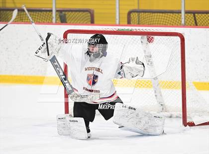 Thumbnail 3 in Watertown/Pomperaug @ Westhill/Stamford (CIAC DII 1st Round) photogallery.