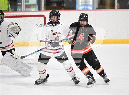 Thumbnail 1 in Watertown/Pomperaug @ Westhill/Stamford (CIAC DII 1st Round) photogallery.