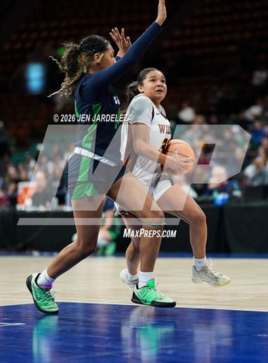null - Photo 41