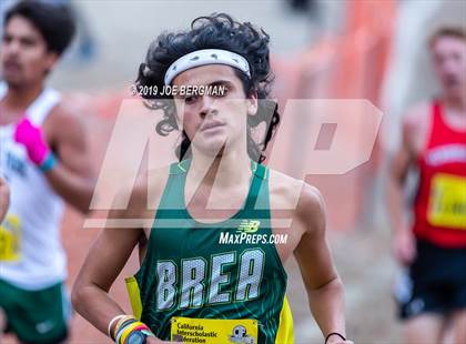 Thumbnail 3 in CIF State Cross Country Championships (Boys D3 Race) photogallery.
