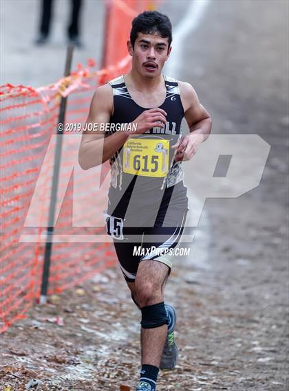 Thumbnail 2 in CIF State Cross Country Championships (Boys D3 Race) photogallery.