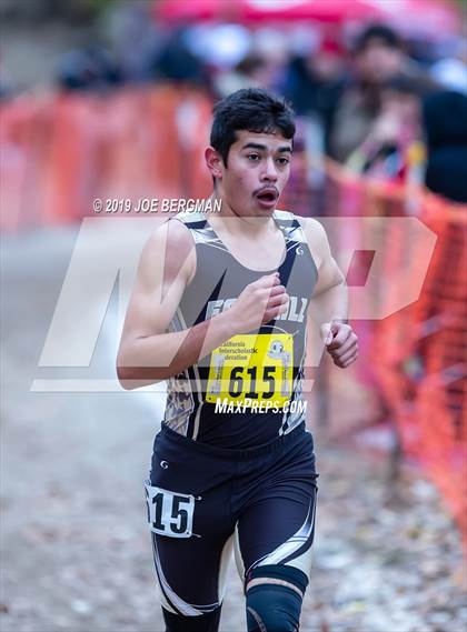 Thumbnail 2 in CIF State Cross Country Championships (Boys D3 Race) photogallery.