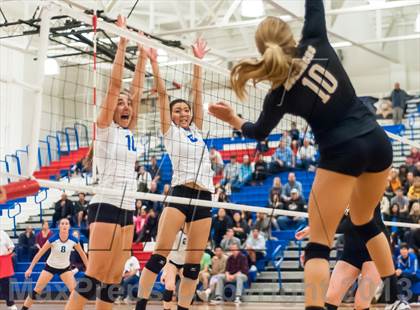 Thumbnail 3 in Archbishop Mitty vs. Los Altos (CIF CCS D2 Final) photogallery.