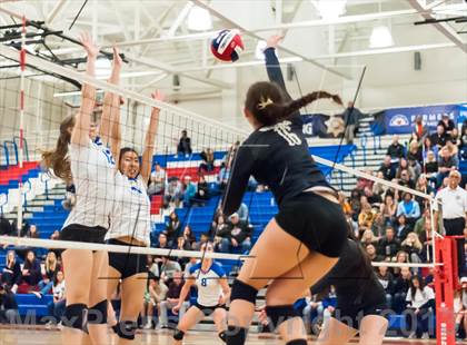 Thumbnail 2 in Archbishop Mitty vs. Los Altos (CIF CCS D2 Final) photogallery.