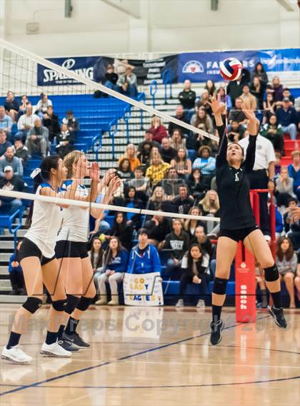 Thumbnail 3 in Archbishop Mitty vs. Los Altos (CIF CCS D2 Final) photogallery.