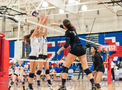 Thumbnail 3 in Archbishop Mitty vs. Los Altos (CIF CCS D2 Final) photogallery.