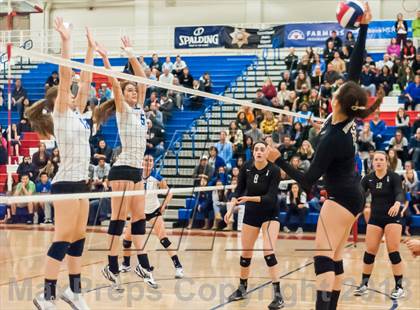 Thumbnail 3 in Archbishop Mitty vs. Los Altos (CIF CCS D2 Final) photogallery.