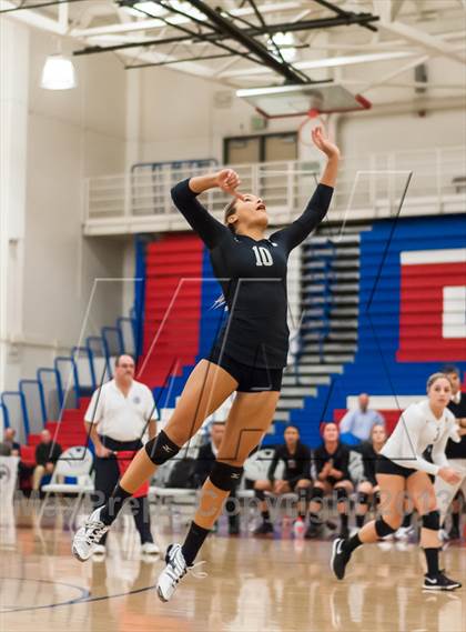 Thumbnail 1 in Archbishop Mitty vs. Los Altos (CIF CCS D2 Final) photogallery.