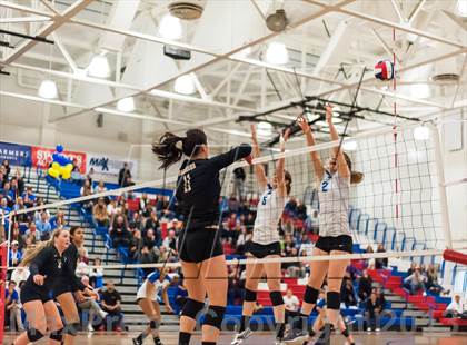 Thumbnail 3 in Archbishop Mitty vs. Los Altos (CIF CCS D2 Final) photogallery.