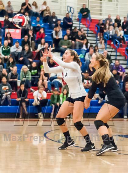 Thumbnail 1 in Archbishop Mitty vs. Los Altos (CIF CCS D2 Final) photogallery.