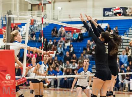 Thumbnail 3 in Archbishop Mitty vs. Los Altos (CIF CCS D2 Final) photogallery.