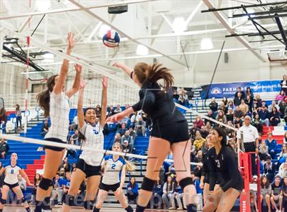 Thumbnail 1 in Archbishop Mitty vs. Los Altos (CIF CCS D2 Final) photogallery.