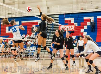 Thumbnail 2 in Archbishop Mitty vs. Los Altos (CIF CCS D2 Final) photogallery.