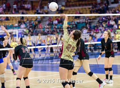 Thumbnail 2 in Ponderosa vs. Longmont (CHSAA 4A Playoff) photogallery.