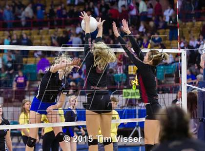 Thumbnail 3 in Ponderosa vs. Longmont (CHSAA 4A Playoff) photogallery.