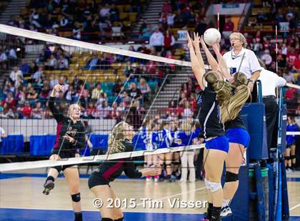Thumbnail 1 in Ponderosa vs. Longmont (CHSAA 4A Playoff) photogallery.