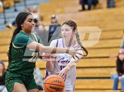 Thumbnail 1 in Bear Creek @ Arvada West photogallery.