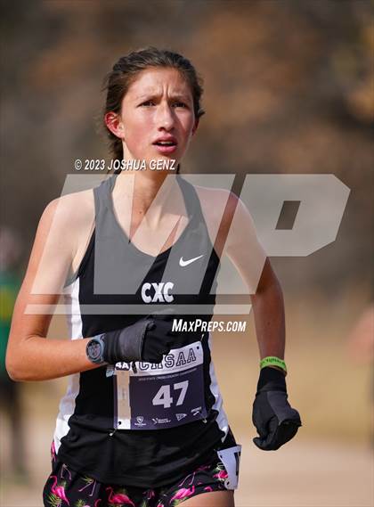 Thumbnail 1 in CHSAA 4A Cross Country Final photogallery.