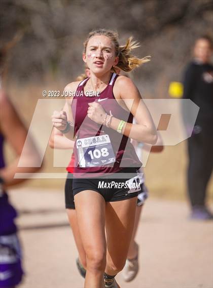 Thumbnail 2 in CHSAA 4A Cross Country Final photogallery.