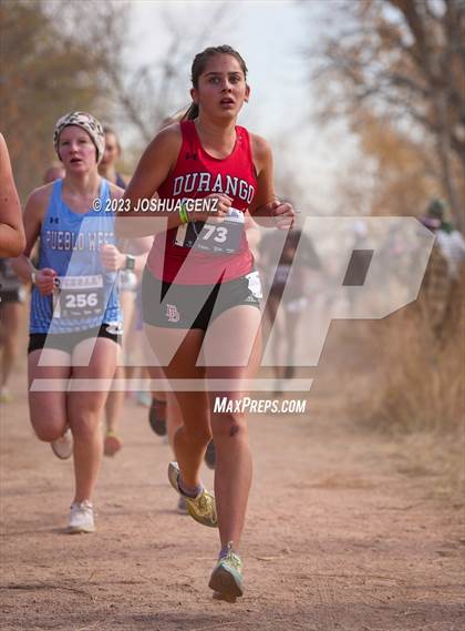 Thumbnail 1 in CHSAA 4A Cross Country Final photogallery.