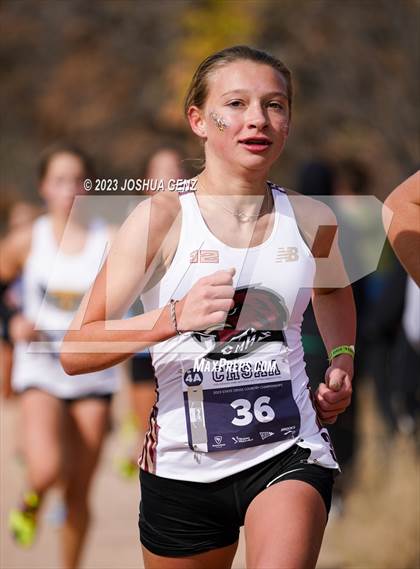 Thumbnail 2 in CHSAA 4A Cross Country Final photogallery.