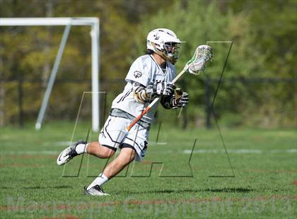 Thumbnail 3 in Weston @ Joel Barlow photogallery.