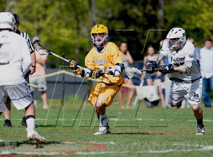 Thumbnail 3 in Weston @ Joel Barlow photogallery.