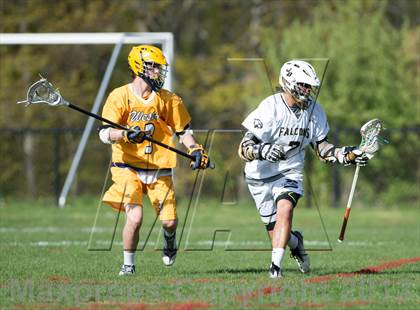 Thumbnail 3 in Weston @ Joel Barlow photogallery.