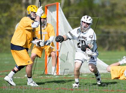 Thumbnail 3 in Weston @ Joel Barlow photogallery.