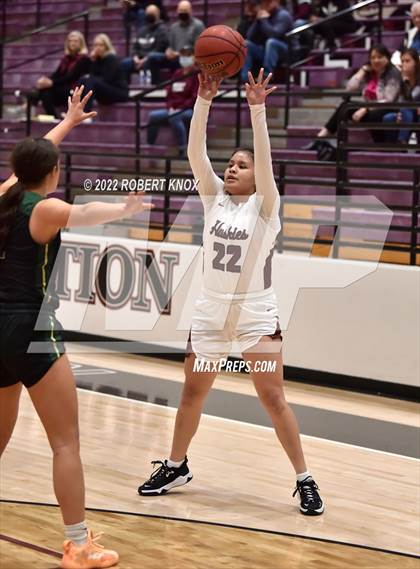Thumbnail 1 in Basha @ Hamilton photogallery.