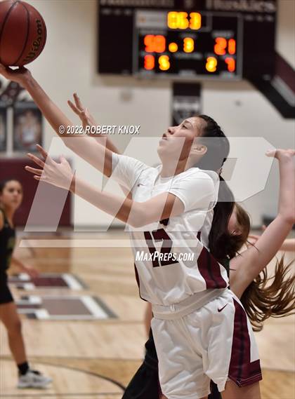 Thumbnail 1 in Basha @ Hamilton photogallery.