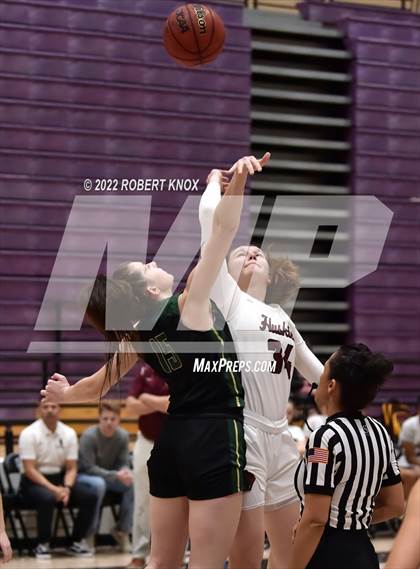 Thumbnail 2 in Basha @ Hamilton photogallery.