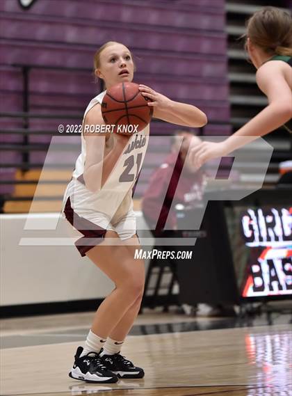 Thumbnail 2 in Basha @ Hamilton photogallery.