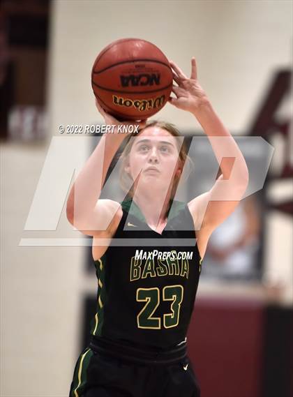 Thumbnail 1 in Basha @ Hamilton photogallery.