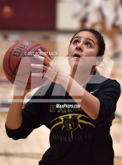 Thumbnail 2 in Basha @ Hamilton photogallery.