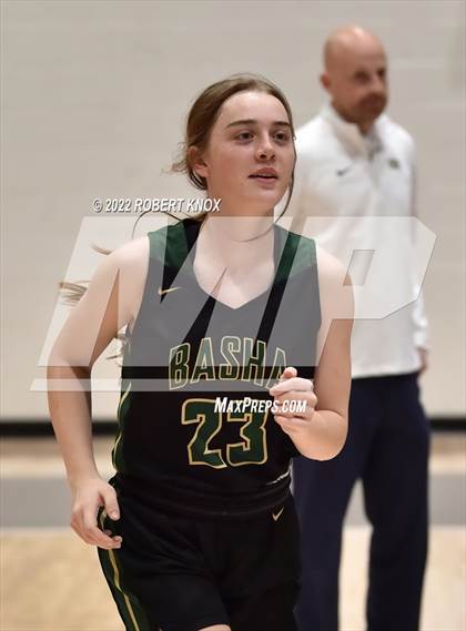 Thumbnail 3 in Basha @ Hamilton photogallery.