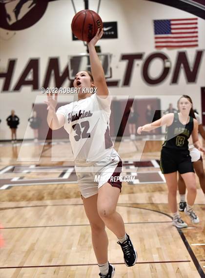 Thumbnail 1 in Basha @ Hamilton photogallery.