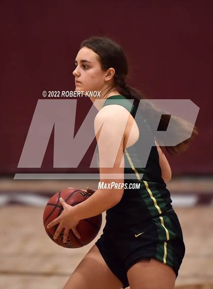 Thumbnail 2 in Basha @ Hamilton photogallery.