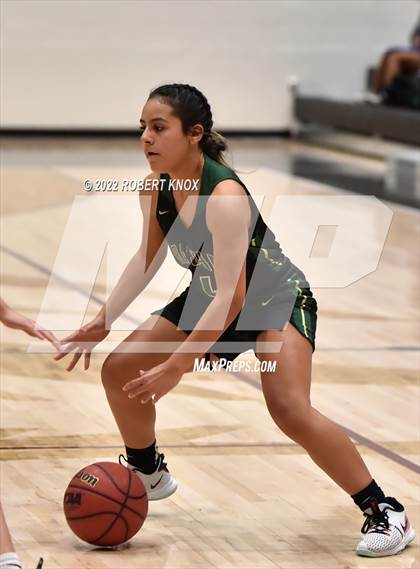 Thumbnail 3 in Basha @ Hamilton photogallery.