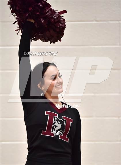 Thumbnail 3 in Basha @ Hamilton photogallery.