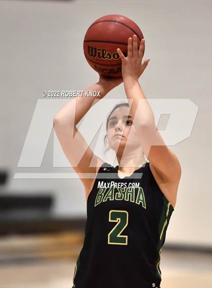 Thumbnail 2 in Basha @ Hamilton photogallery.