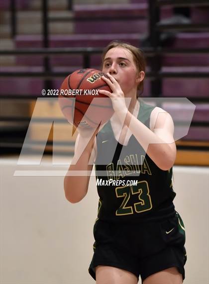 Thumbnail 2 in Basha @ Hamilton photogallery.