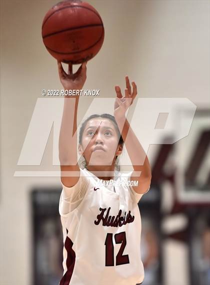 Thumbnail 2 in Basha @ Hamilton photogallery.