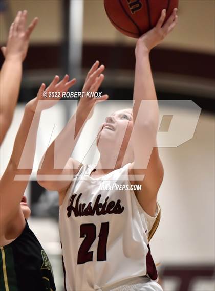 Thumbnail 3 in Basha @ Hamilton photogallery.