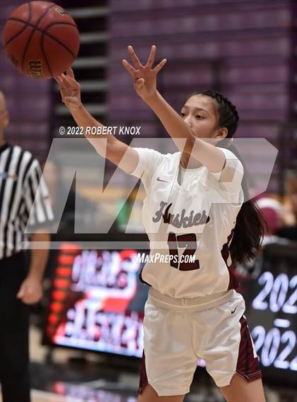 Thumbnail 3 in Basha @ Hamilton photogallery.