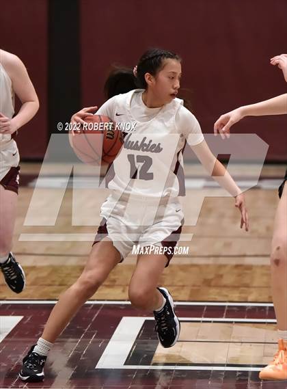 Thumbnail 3 in Basha @ Hamilton photogallery.
