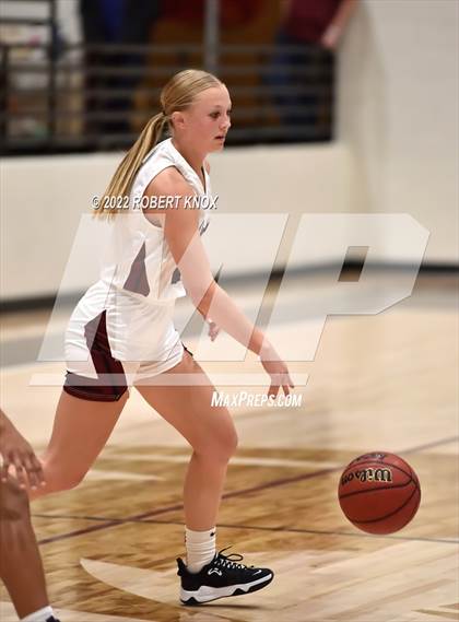 Thumbnail 1 in Basha @ Hamilton photogallery.