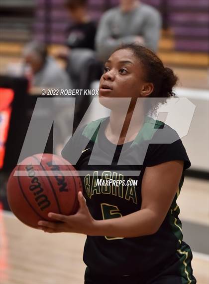 Thumbnail 1 in Basha @ Hamilton photogallery.